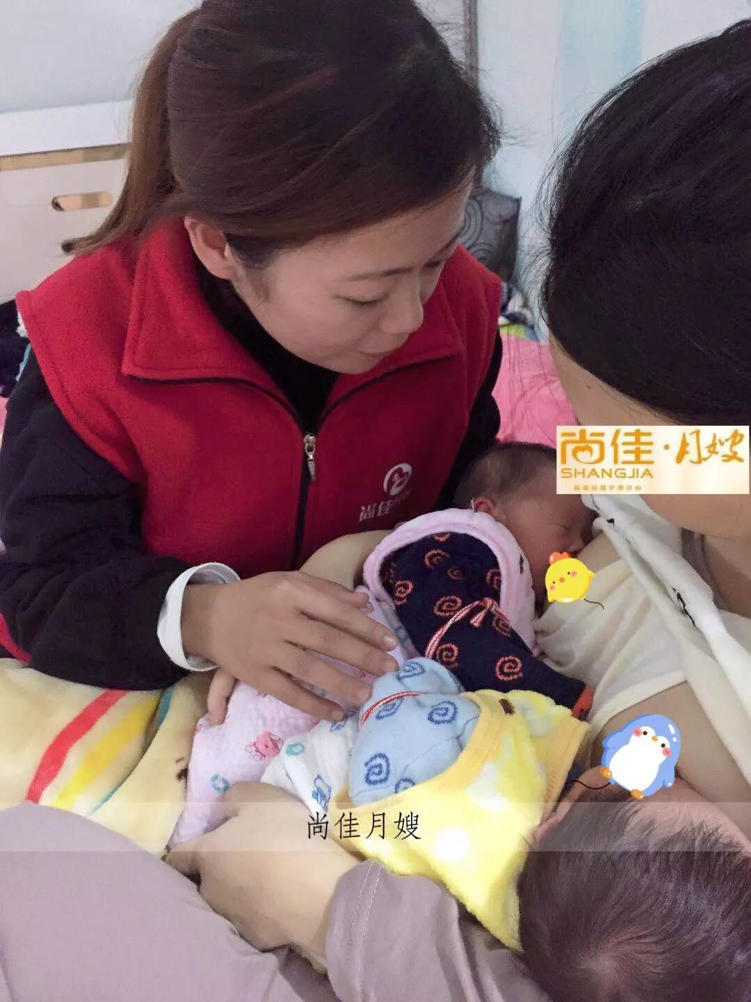 尚佳專業(yè)月嫂丨初生嬰兒需要吃多少？